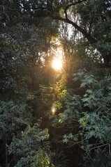 natureza meio ambiente incrível 