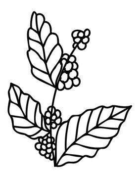 recommend clip art: Black and white line art illustration. PNG with transparent background. 