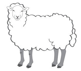Sheep flat icon. Element from animals collection