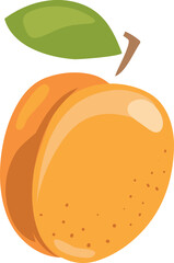 Summer apricot icon. Cartoon sweet healthy fruit