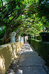 A walkway frame by vegetation, shaded by the trees on a bright sunny day.