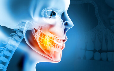 Anatomy of Maxilla and Mandible dental structure. 3d illustration.. - obrazy, fototapety, plakaty