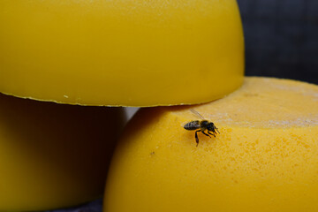 Bienewachs gewonnen aus der Bienenzucht, große Klötze