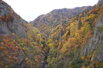 autumn in the mountains