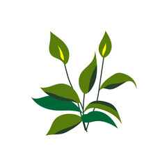 green tropical leaf illustration