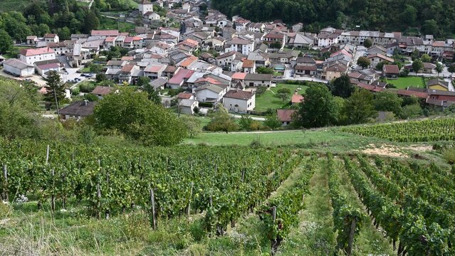 French village dominated by vineyards