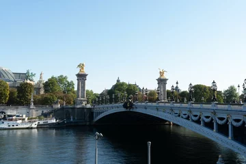 Papier Peint photo autocollant Pont Alexandre III Beautiful view of Pont Alexandre III in Paris, France
