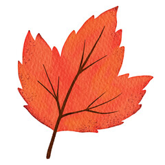 Fall Dry Leaf Illsutration Watercolor