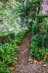 The lush gardens of Monte Palace in Funchal, Madeira