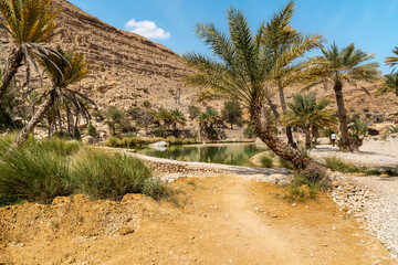 View of the Wadi Bani Khalid oasis in the desert in Sultanate of Oman.