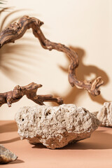  Stones on a beige and brown background and beautiful wooden branches. Cosmetic product vertical...