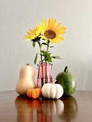 Still life sunflowers, pumpkins, gourds, and butternut squash. Autumnal aesthetic 