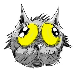 Fototapeta premium Dumb cat!