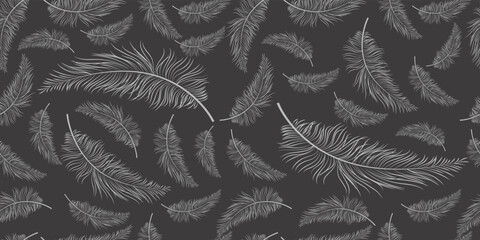 Bird Feather Hand Drawn Seamless Pattern Background Illustration