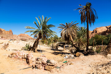Oasis in White Canyon in Sinai. Yellow and orange sandstone textured carved mountain, bright blue sky. Egyptian desert landscape. Sinai peninsula, Egypt