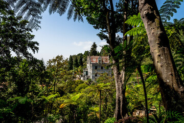 Fototapeta premium The lush gardens of Monte Palace in Funchal, Madeira