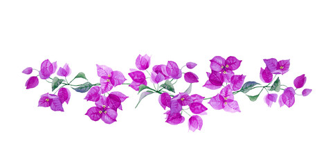 Fototapeta na wymiar Beautiful floral border with purple bougainvillea. Branch with exotic flowers and leaves isolated on white background. Hand drawn watercolor.