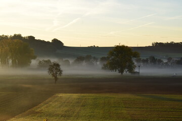 Morgnenebel in der Eifel