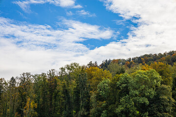 autumn forest in the mountains, Switzerland