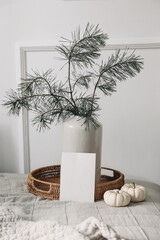 Empty Christmas greeting card, invitation mockup. Table with natural linen tablecloth. Pine tree branches in vase. White little pumpkins, wicker tray. Winter, Halloween holiday. Blurred background.