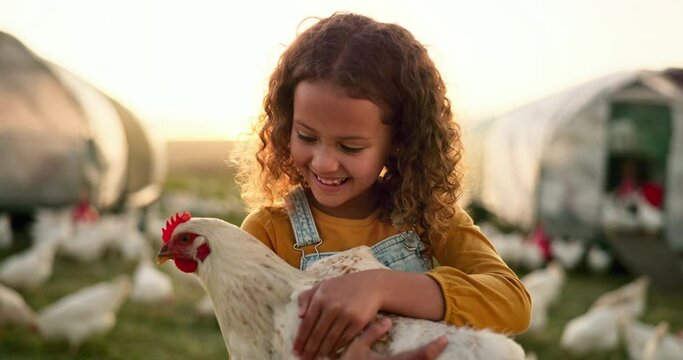 Mother, father or child bonding on chicken farm, poultry agriculture field or Brazilian sustainability environment. Smile, happy and farmer family with birds for meat, food or eggs industry at sunset