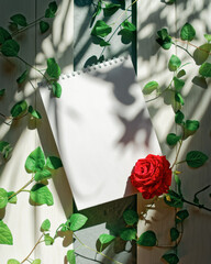 An open blank notebook, a red rose and a plant with green leaves are on a white wooden background. Romantic composition with copy space. The concept of wedding planning, taking notes, to-do list.