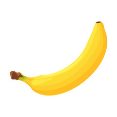 Colorful banana fruits flat picture. Dessert as banana fruit isolated vector illustration. Healthy food