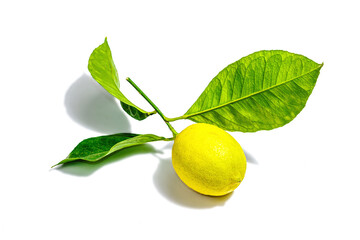 Ripe whole lemon with fresh leaves isolated on white background. Juicy fruit, vitamin ingredient