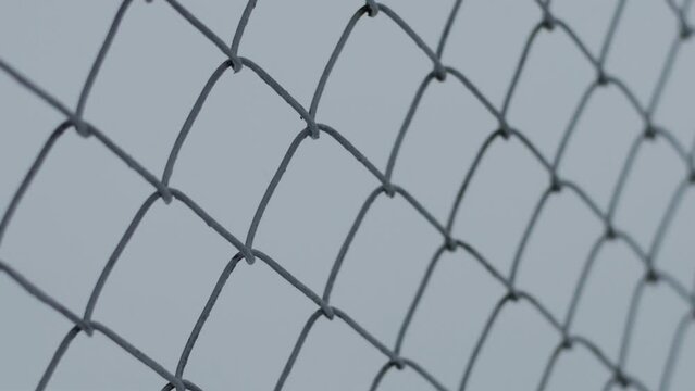 Protective metal mesh netting against the background of snow in winter, close-up