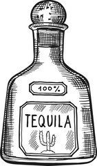 Fototapeta na wymiar Tequilla bottle engraving. Mexican alcohol drink sketch