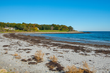 Seapoint Beach in fall next to Crescent Beach on Gerrish Island in Kittery Point, town of Kittery,...