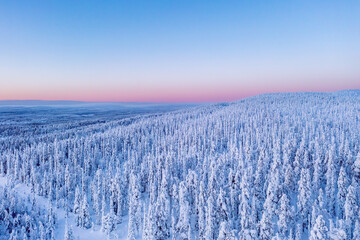 sunrise in the lapland
