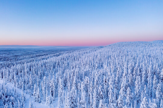 sunrise in the lapland