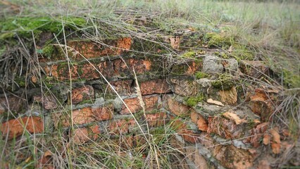 Ruin, ruins, abandoned, buried, dug out, red bricks wall in the forest in the field, in the field, underground, corner