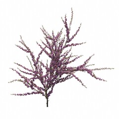 bush isolated on white background, 3D illustration, cg render