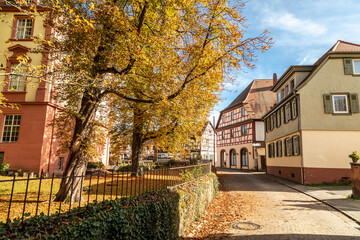Fototapeta na wymiar Street at the old castle in Erbach
