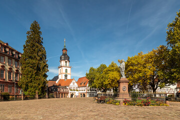 The old castle in Erbach and the market-place