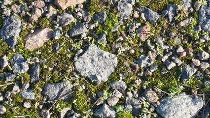 texture of many gray stones on moss top view smooth