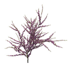bush isolate on a transparent background, 3D illustration, cg render