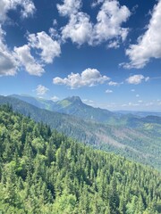 Sunny summer hiking path in the mountains. Rocky Mountain in the summer with trees and forest. Walking in the mountains and forest with blue sky. Summer travel hiking in Europe. 