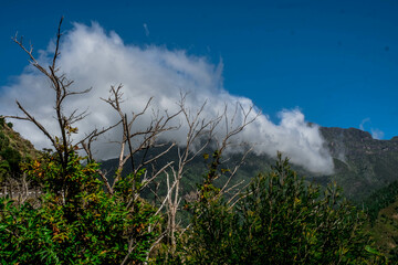 The Sierra de Agua area on the way to the Madeira Natural Park