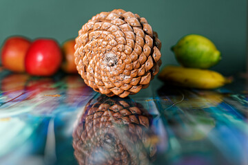 back of pine cone on reflecting table with fibonacci spirals