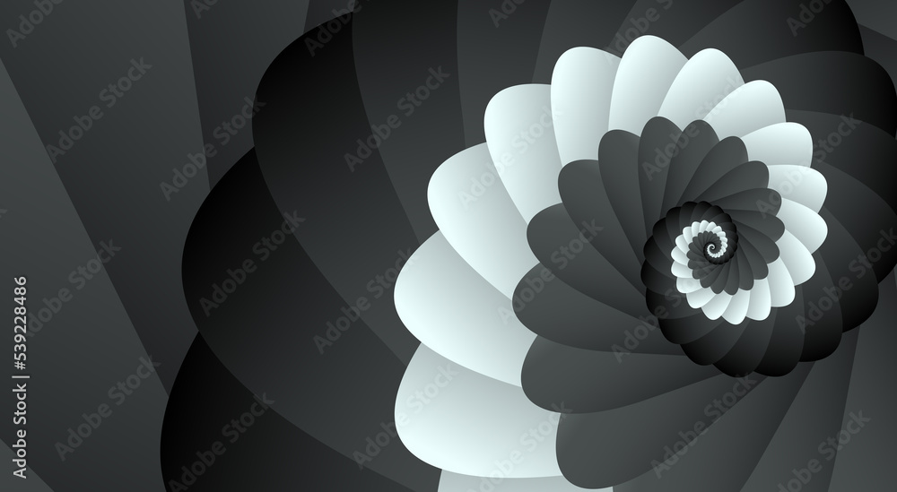 Fototapete beautiful unusual abstract background or web banner with a shell spiral pattern in gradient gray, bl