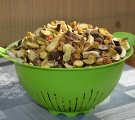 Waldpilze küchenfertig