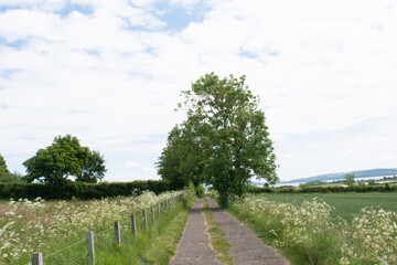 Leading lines, a pathway in the countryside with a blue sky. 