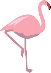 Pink flat flamingo vector illustration