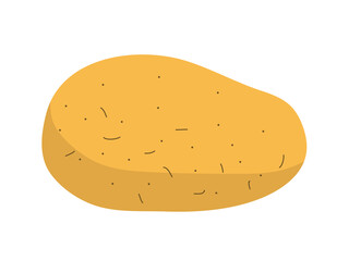 Raw potatoes. Ground vegetable. Natural healthy food. Cooking ingredient. Flat vector illustration isolated on white background