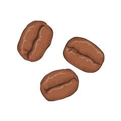 Roasted coffee beans. Delicious and aromatic hot coffee drink. Cartoon vector illustration isolated on white background. Hand drawn sketch