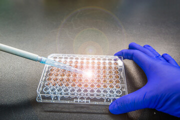 Protein Concentration Assay