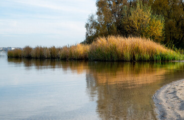 autumn lake water houses leaves yellow